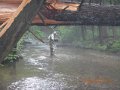 fowlers hollow.Laural run 06-09-14 038